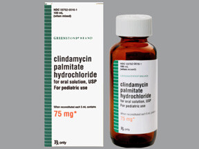 Chlorhydrate de palmitate de clindamycine