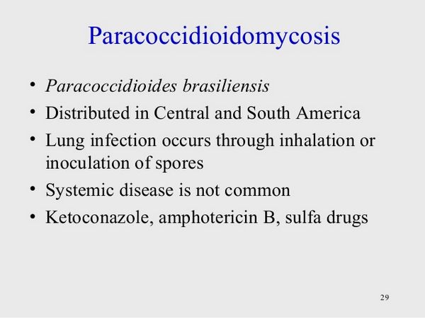 Paracoccidioïdomycose au kétoconazole