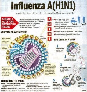 Symmetrel (Amantadine)
